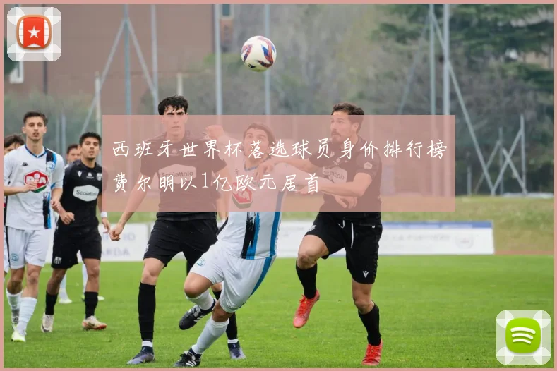 西班牙世界杯落选球员身价排行榜费尔明以1亿欧元居首