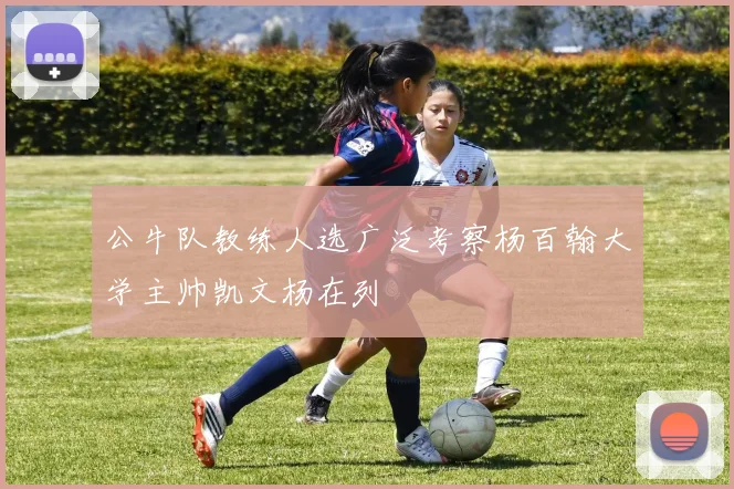 公牛队教练人选广泛考察杨百翰大学主帅凯文杨在列