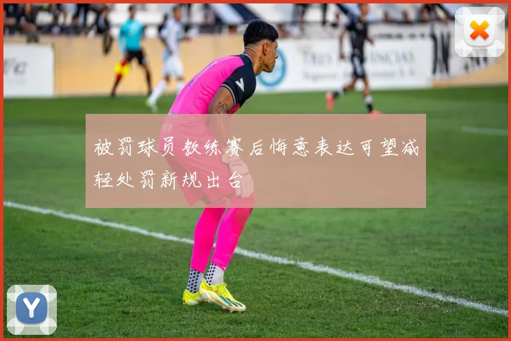 被罚球员教练赛后悔意表达可望减轻处罚新规出台